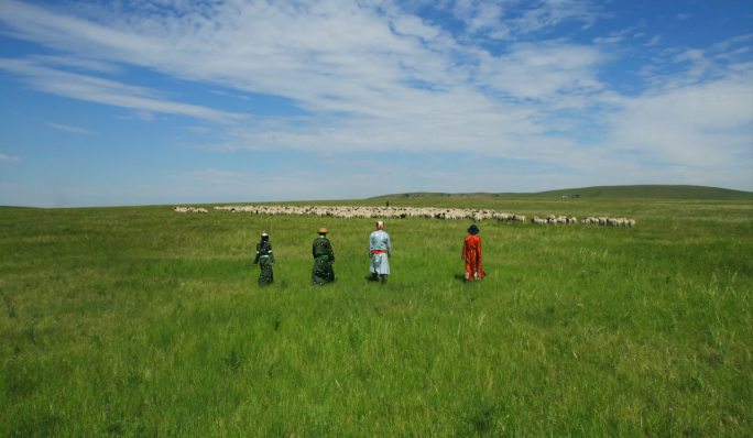 航拍草原羊群蓝天蒙古人