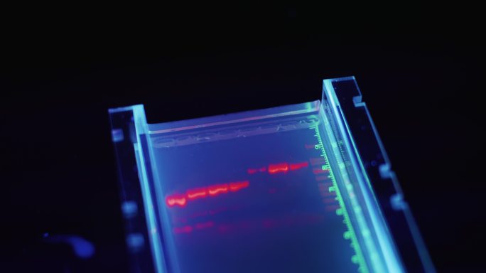 DNA基因实验室研究员：病毒检测测试