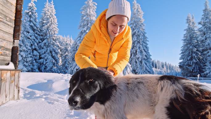 宠物的爱。女人在冬天下雪的大自然里和狗玩耍。