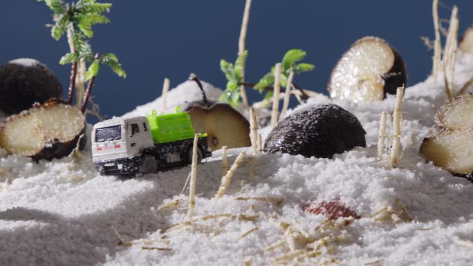 冻梨折耳根雪微景观汽车开动