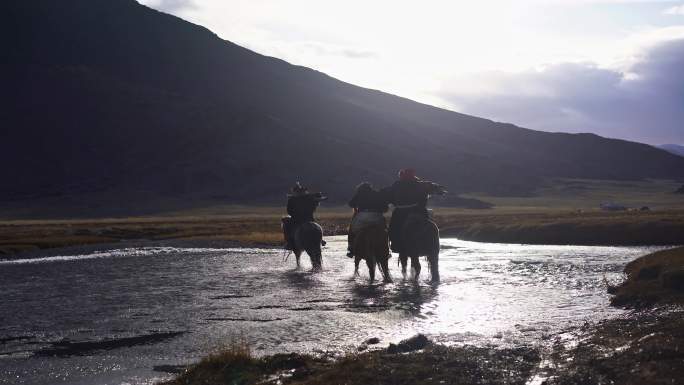 蒙古河边的猎鹰者训鹰人活动