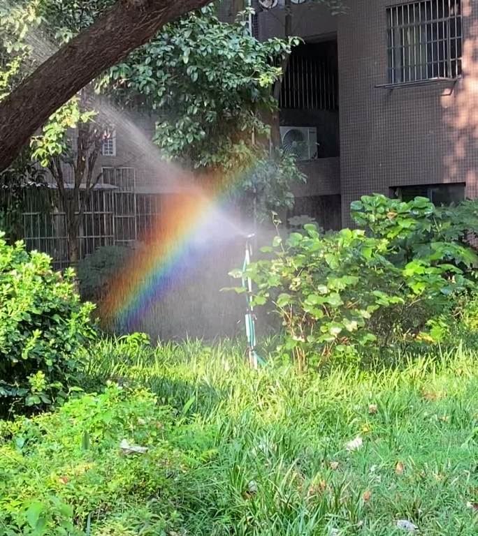 治愈系风景阳光下浇水映射出彩虹