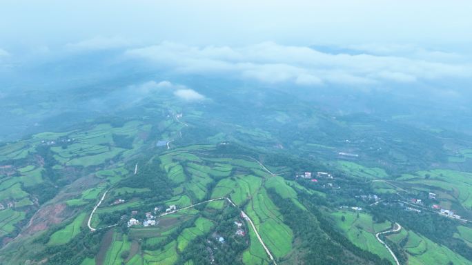 豫西大山里的烟田大景震撼航拍满山烟田4