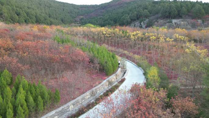 航拍山东济南秋季红叶龙洞扁石山风景区