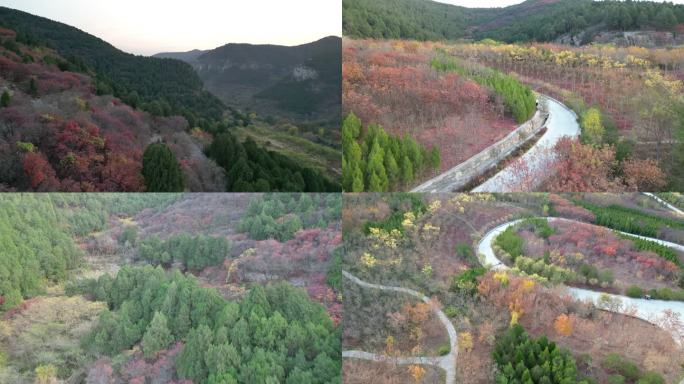 航拍山东济南秋季红叶龙洞扁石山风景区