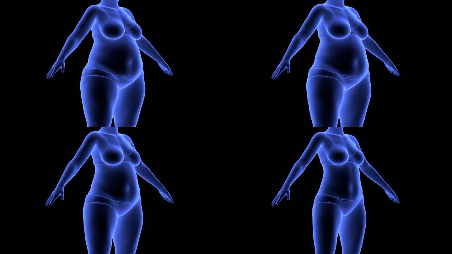 3D女人逐渐变瘦过程减肥身材变美脂肪消失