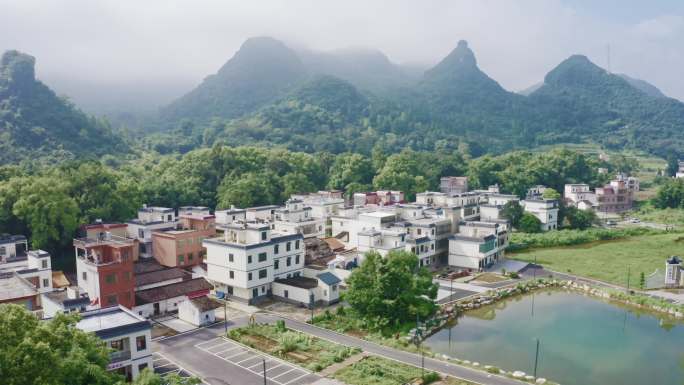 乡村振兴建设新农村美丽乡村