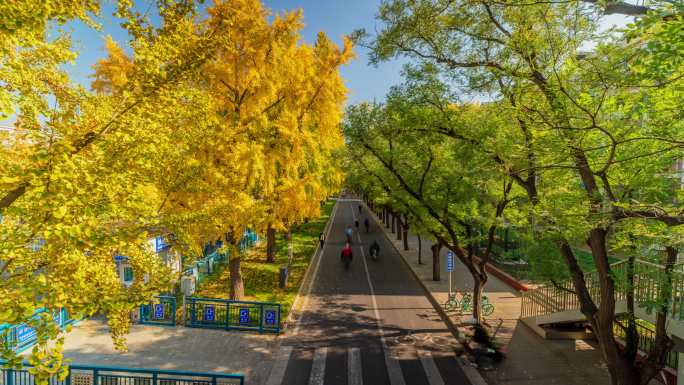 北京秋天马路 延时摄影