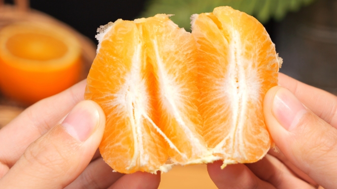 柑橘 蜜桔