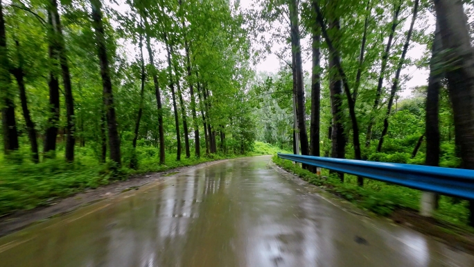 汽车行驶在乡间道路上