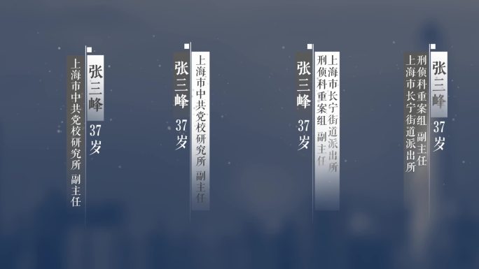 简约 大气人名条