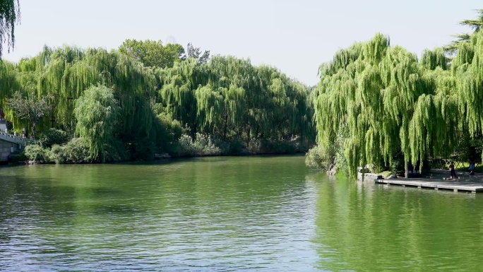 山东省济南市天下第一泉大明湖公园景区景色