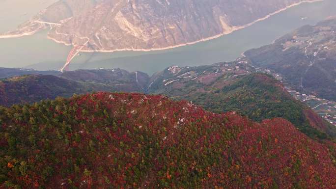 航拍三峡红叶