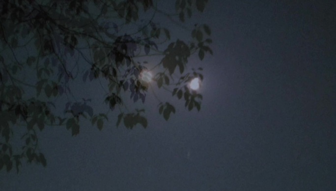 夜晚 月亮 天空 意境