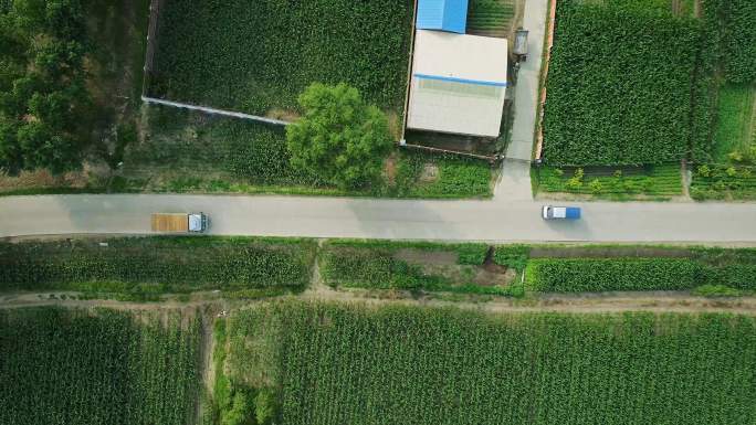 东北乡村道路小货车行驶送肥车下乡黑土地