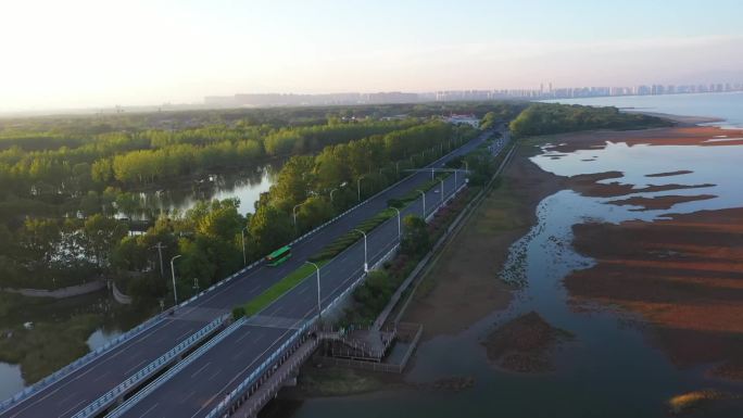 鸽子窝湿地公园 夕阳下的湿地 滨海大桥