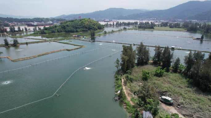 福建福安甘棠航拍