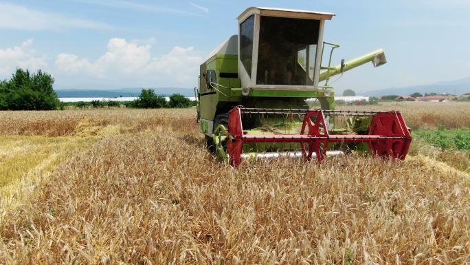 联合收割机收割小麦库存视频