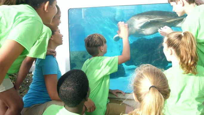 老师和孩子们在水族馆观看海龟