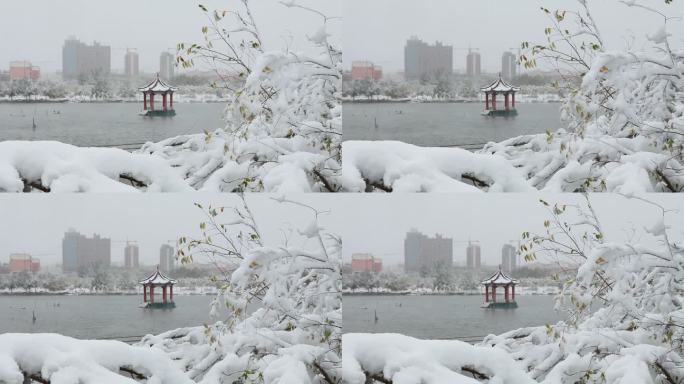 湖边的雪景