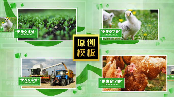 48图绿色环保图文农业照片农产品图片包装