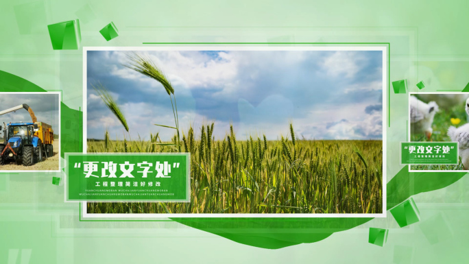 48图绿色环保图文农业照片农产品图片包装