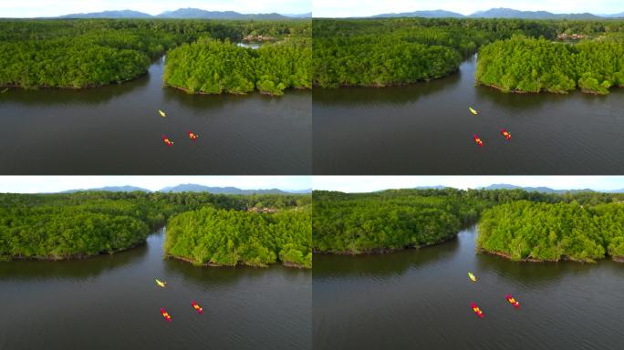 日落场景一群游客或研究人员的俯瞰图，在淡水河湖中划船独木舟划桨，发现和探索植物园热带地带的自然，泰国