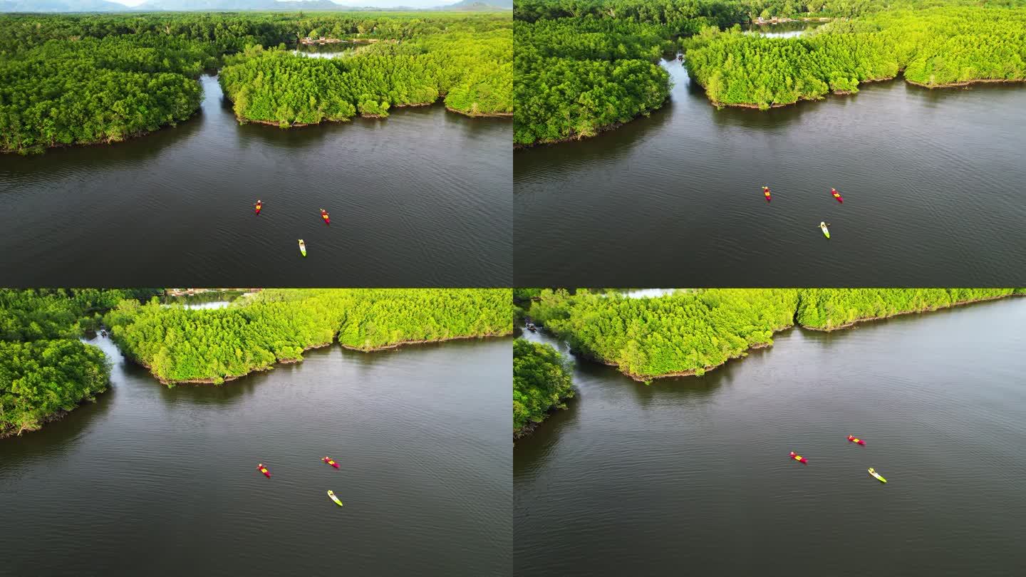 日落场景一群游客或研究人员的俯瞰图，在淡水河湖中划船独木舟划桨，发现和探索植物园热带地带的自然，泰国