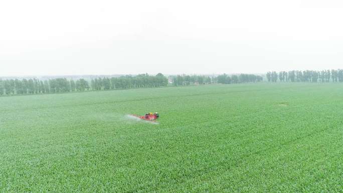 农业植保高科技大型喷洒农药追肥东北玉米田