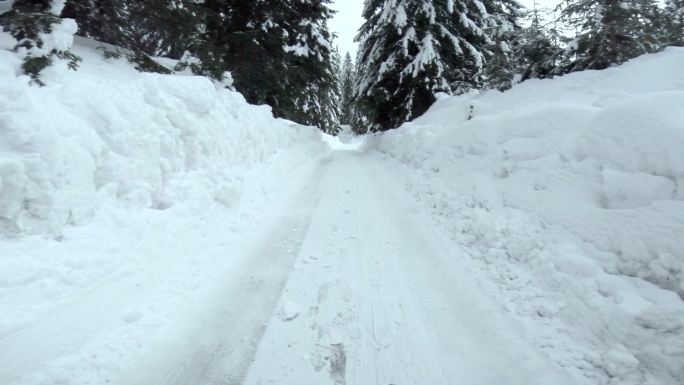 在雪域森林公路上行驶