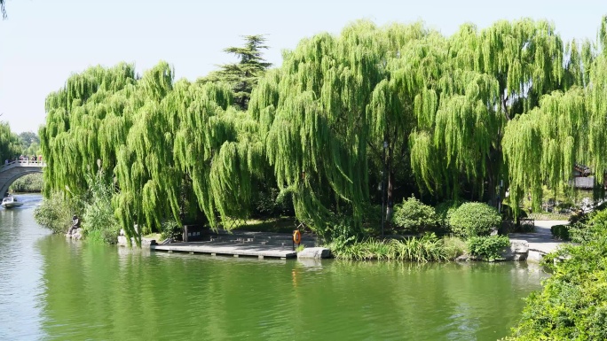 山东省济南市天下第一泉大明湖公园景区景色