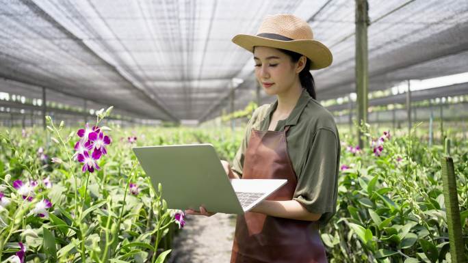 年轻的亚洲园丁使用笔记本电脑记录并控制观赏兰花农场的花卉质量