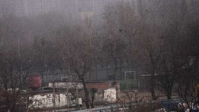北京下雪 杂乱的环境下雪