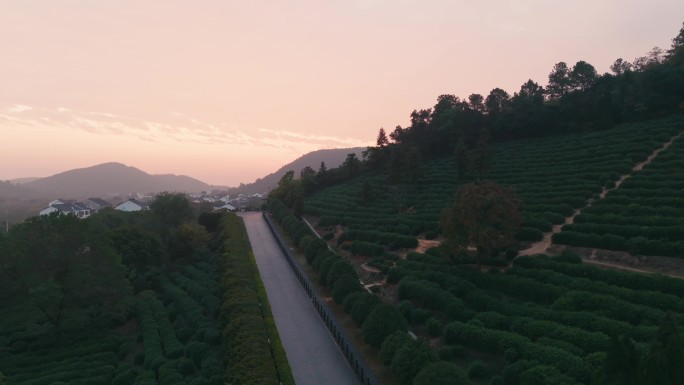 苏州树山生态村