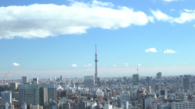 东京天空树鸟瞰图日本首都地标建筑城市地标