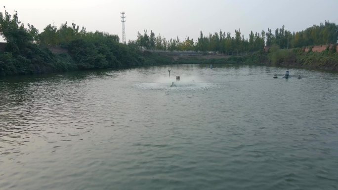 淡水鱼养殖基地4k航拍素材