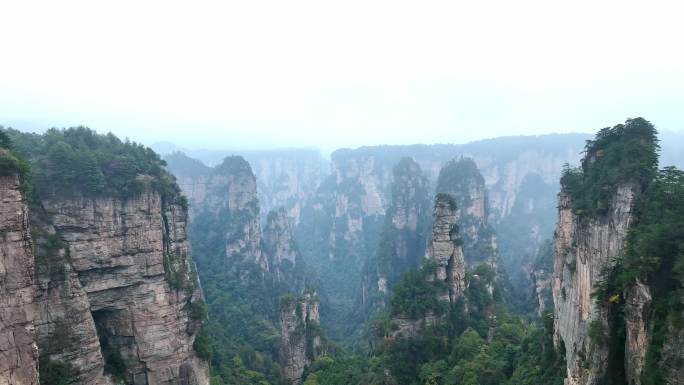 航拍张家界 云海 张家界 峰林   湖南