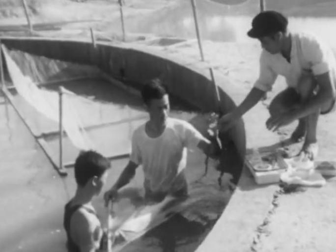 1971年 湖南省科学养鱼增产