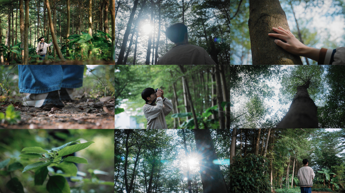 丛林森林探索发现拍照