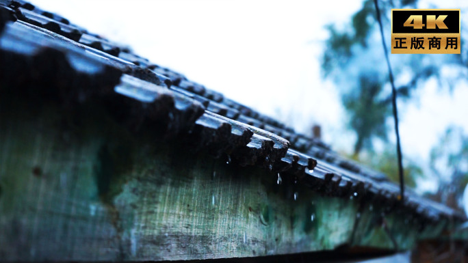 农村秋雨淅淅沥沥多画面