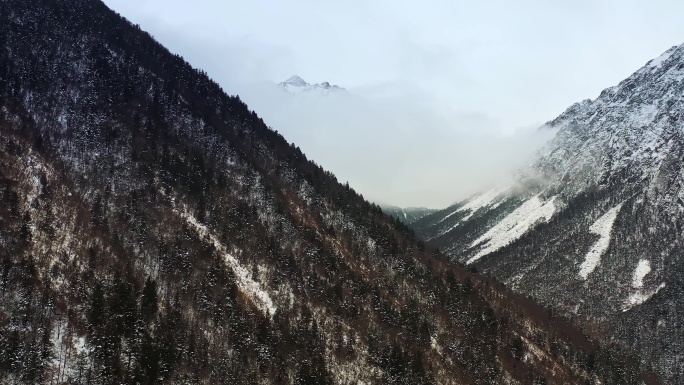 川西雪山云海