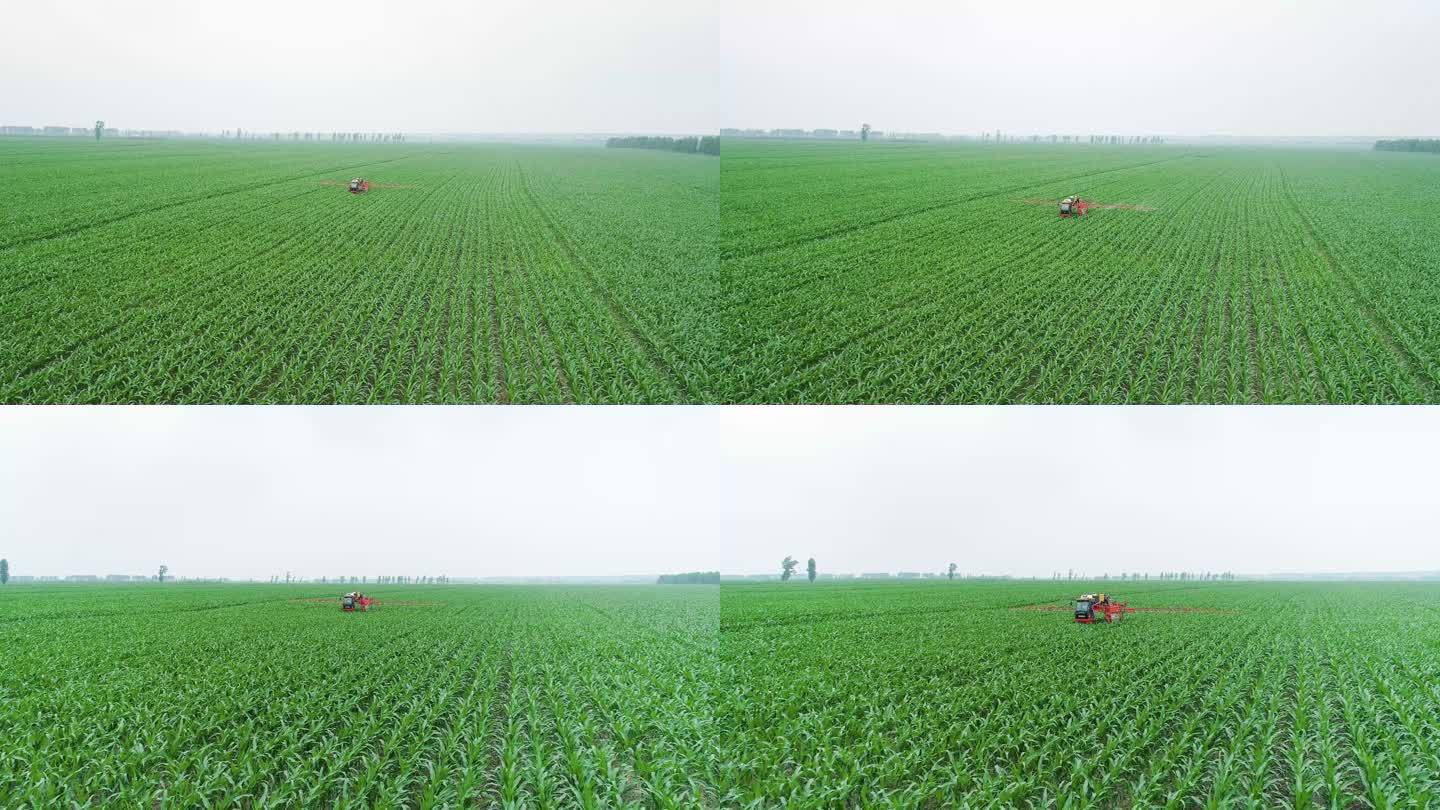农业植保高科技大型喷洒农药追肥东北玉米田