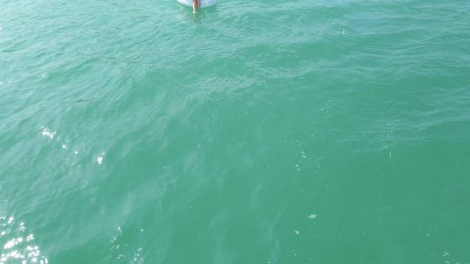 南非开普敦，海面上的充气天鹅女子