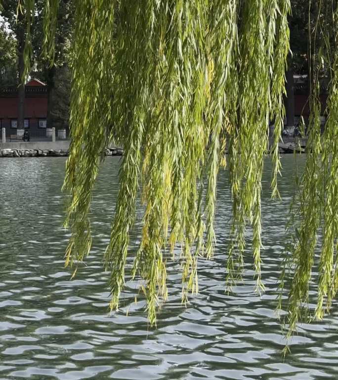 北京北海公园