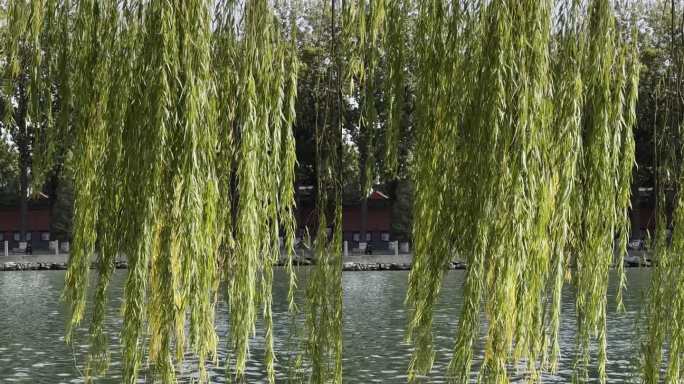 北京北海公园