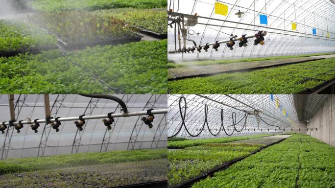 现代自动化温室灌溉