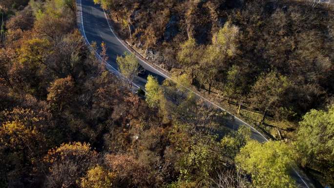 一辆黑色汽车在盘山公路行驶