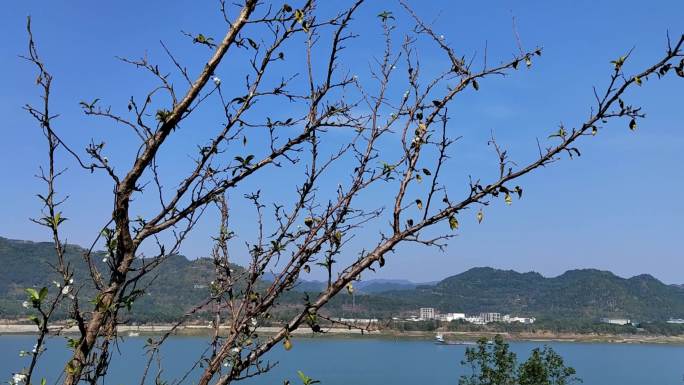 长江秋色青山绿水风景蓝天明媚阳光船河流