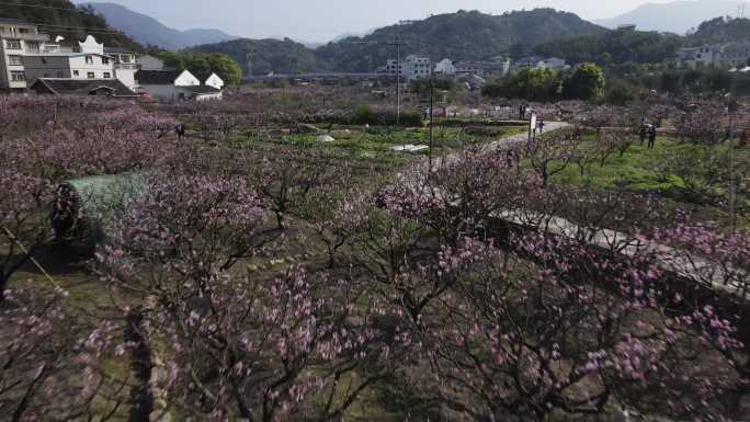 福建福安穆阳镇航拍