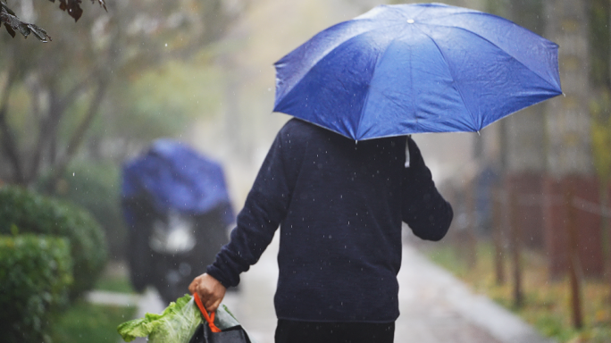 下雨 雨 雨中行走